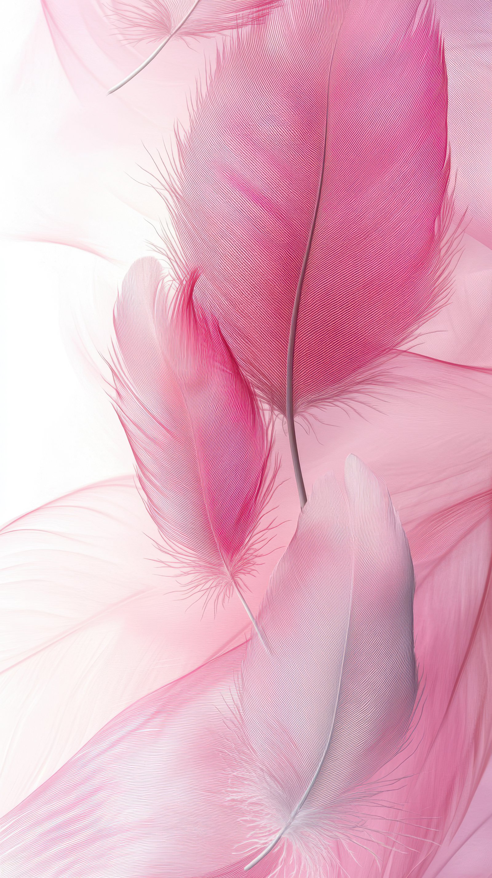 Delicate pink feathers gracefully floating against a soft, blurred background in a serene composition